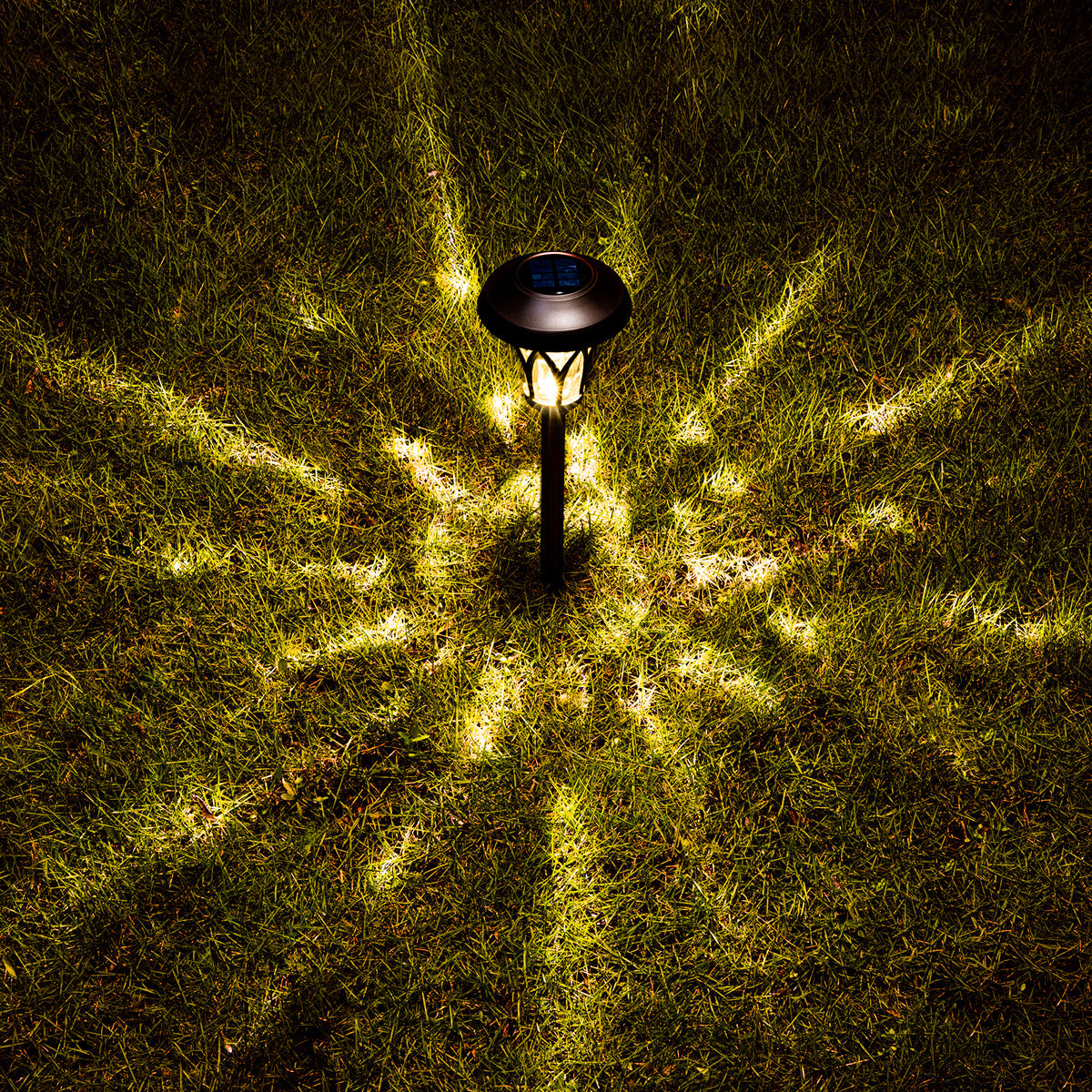 Gigalumi Tulip Designed Solar Yard Lights Set (6 Pack)-1